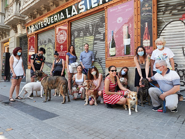 Evento para perros en Barcelona