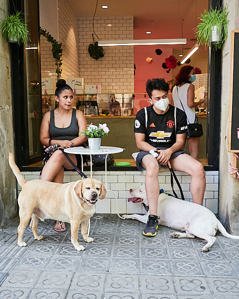 Evento de degustación de galletas para perros en Barcelona