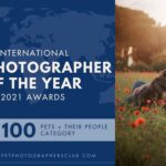 Concurso fotográfico international de fotografía de mascotas "Pet Photographer of the Year"