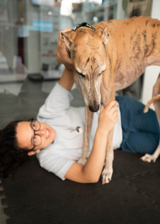 Sesión de fotos de marca personal de un veterinario especializado en acupunctura para perros